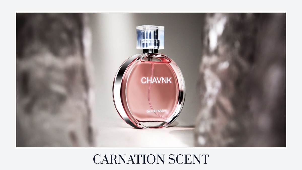 carnation scent