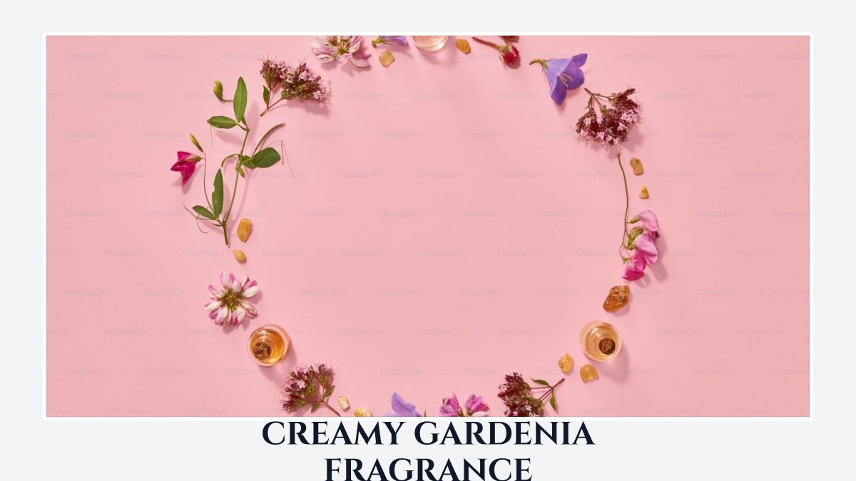 creamy gardenia fragrance