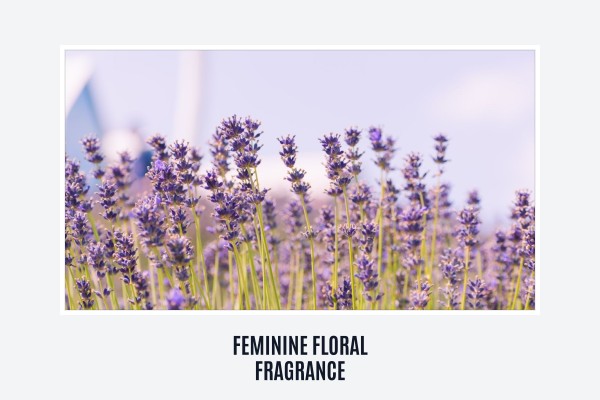 feminine floral fragrance