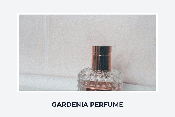 gardenia perfume