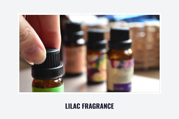 lilac fragrance