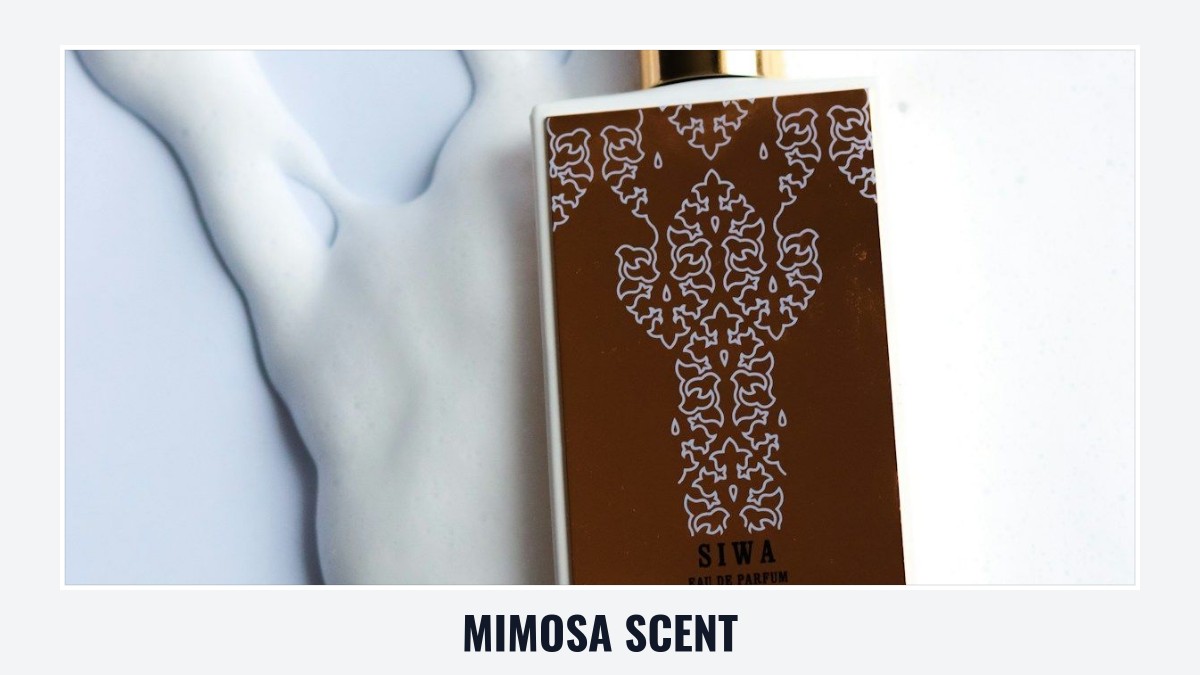 mimosa scent