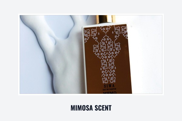 mimosa scent