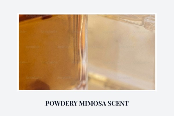 powdery mimosa scent