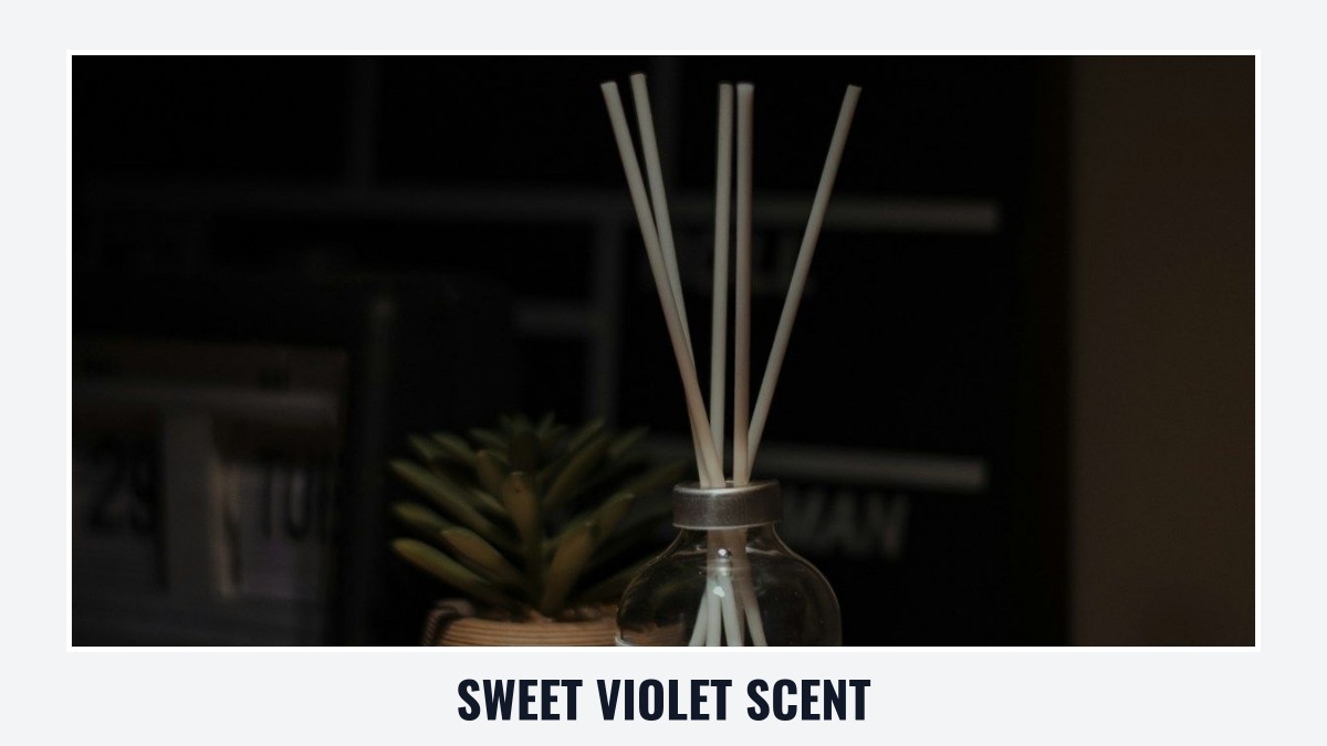sweet violet scent