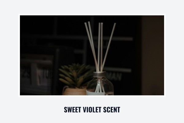 sweet violet scent